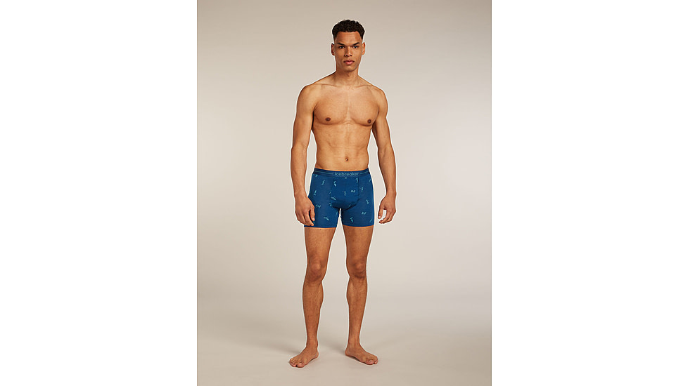 Icebreaker Merino 150 Anatomica Boxers Ski Day - Mens, Atlantis/Topaz/AOP, Medium, IB0A57340H8M