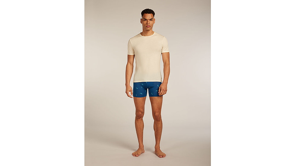 Icebreaker Merino 150 Anatomica Boxers Ski Day - Mens, Atlantis/Topaz/AOP, Medium, IB0A57340H8M