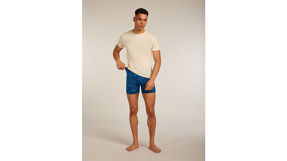 Icebreaker Merino 150 Anatomica Boxers Ski Day - Mens, Atlantis/Topaz/AOP, Medium, IB0A57340H8M