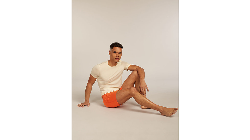 Icebreaker Merino 150 Anatomica Boxers wFly - Mens, Fervid, Extra Large, IB1030300GTXL