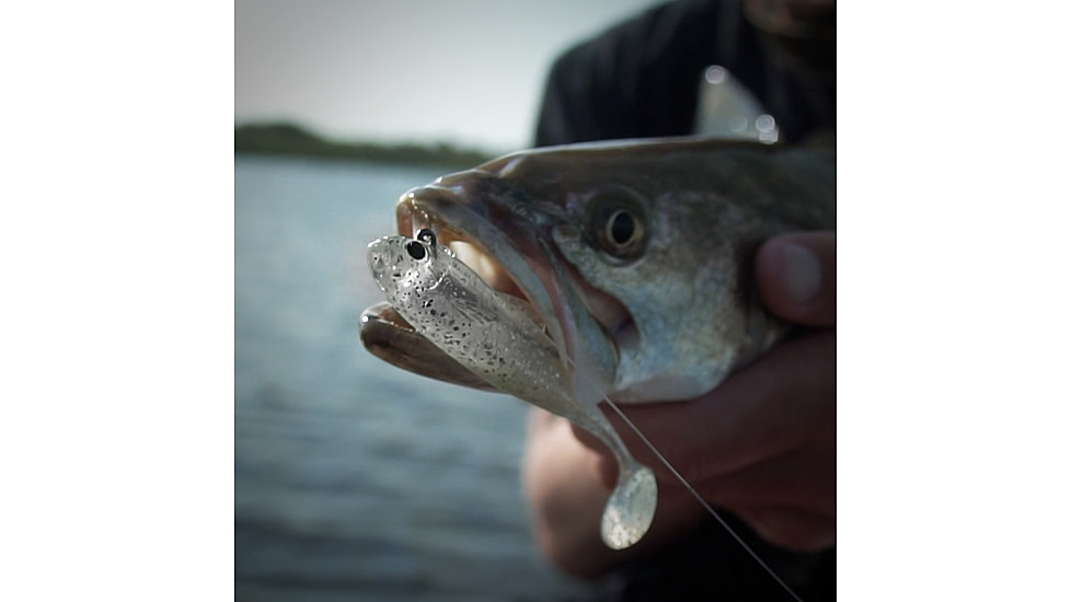 Lunkerhunt Bait Shifter Minnow Kit Minnow, 1, 3.5in, Ice, BMIN02