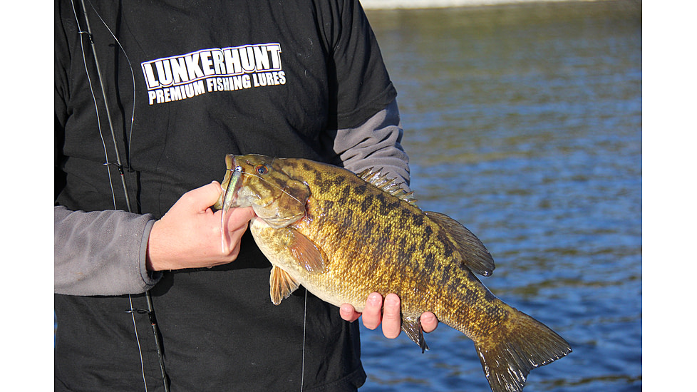 Lunkerhunt Bento Bait Soft Bait, 5, 4.5in, Dace, LHPB401