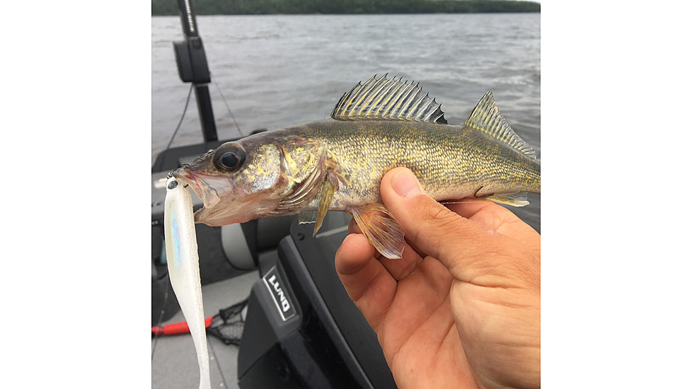 Lunkerhunt Bento Bait Soft Bait, 5, 4.5in, Ghost, LHPB406