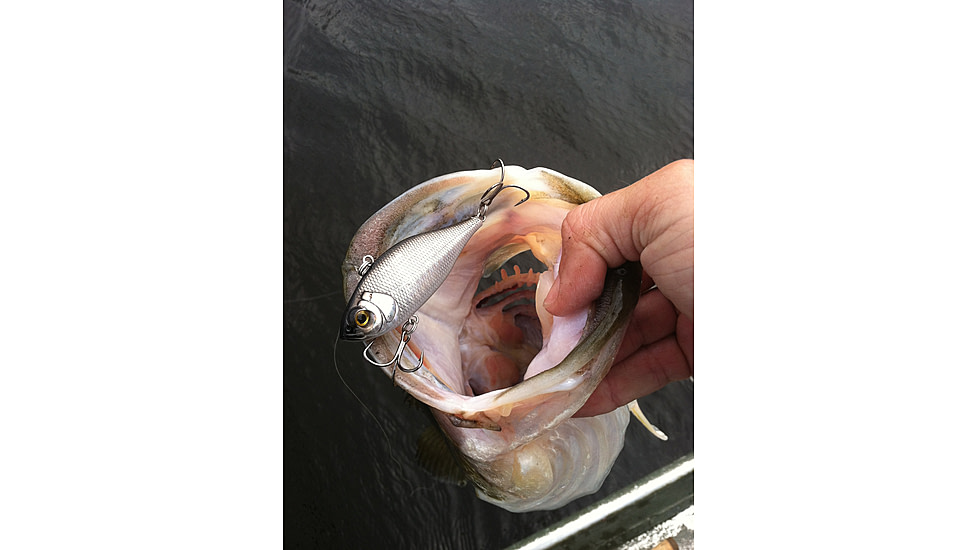 Lunkerhunt Fillet Bait, Silver Side, 3in &amp; 1 oz, LHFL 09