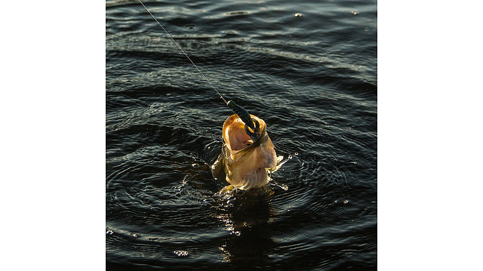 Lunkerhunt Finesse Craw Creature Bait, 1, 3in, Green Pumpkin, FC01