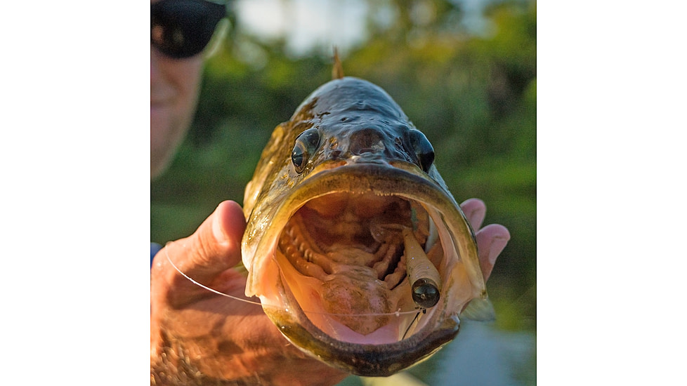 Lunkerhunt Finesse Swimbaits, 1, 3in, Perfect Pumpkin, FS06