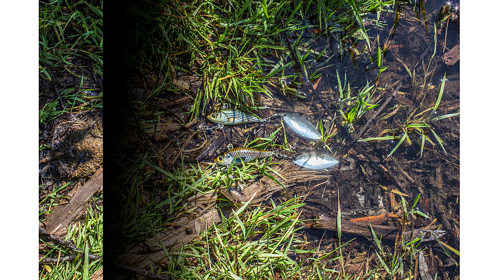 Lunkerhunt Hatch Spin Bait, Spawner, 2in &amp; 1 oz, HASP08