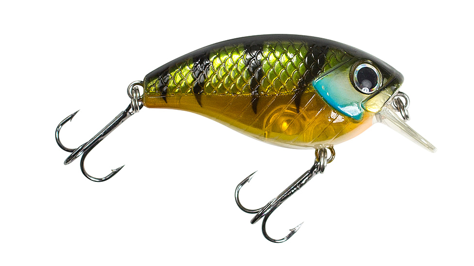 Lunkerhunt Impact Shock 2.5F Bait, Green Back, 2in &amp; 3/8 oz, IMSBL04