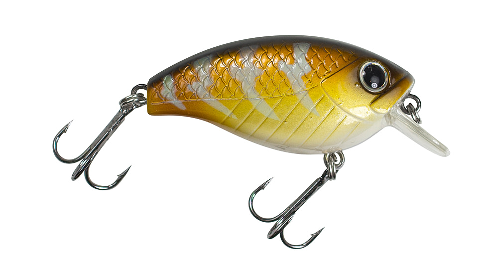 Lunkerhunt Impact Shock 2.5F Bait, Mandarin, 2in &amp; 3/8 oz, IMSBL06