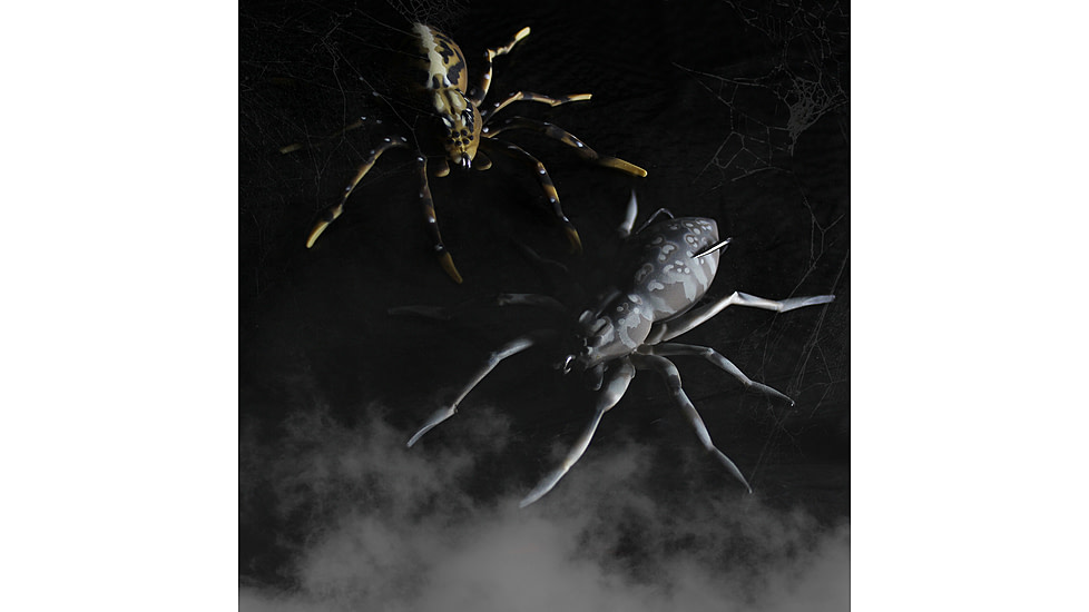 Lunkerhunt Phantom Spider Bait Topwater, 1, 2in, Huntsman, SPIDER08