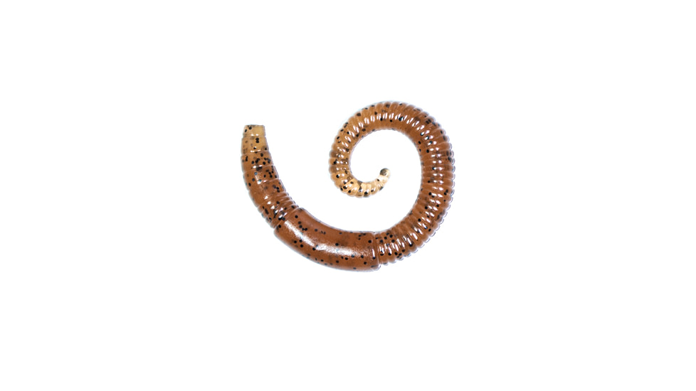 Lunkerhunt River Worm Worm, 8, 2in, Pumpkin, LHPFRW02