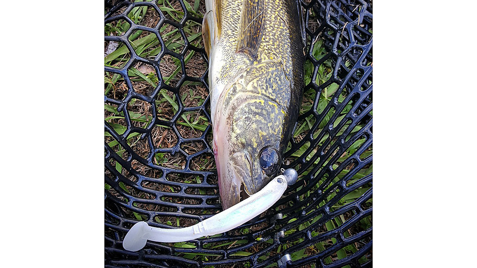 Lunkerhunt Swim Bento Bait, Ghost, 4.5in, LHP BS 402