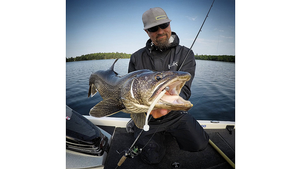 Lunkerhunt Swim Bento Bait, Sassy Shad, 4.5in, LHP BS 405