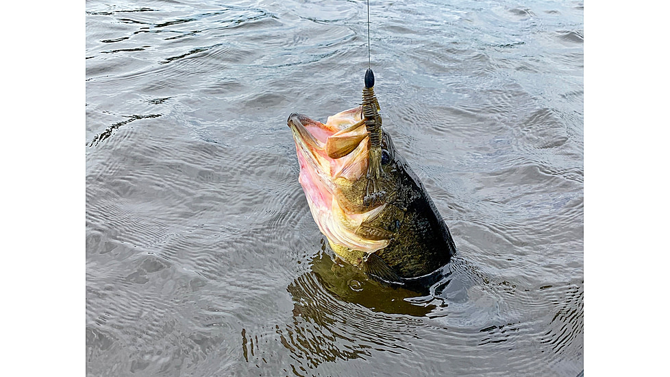 Lunkerhunt Typhon Tube, 6, 3.5in, Green Pumpkin, SBTUBE01