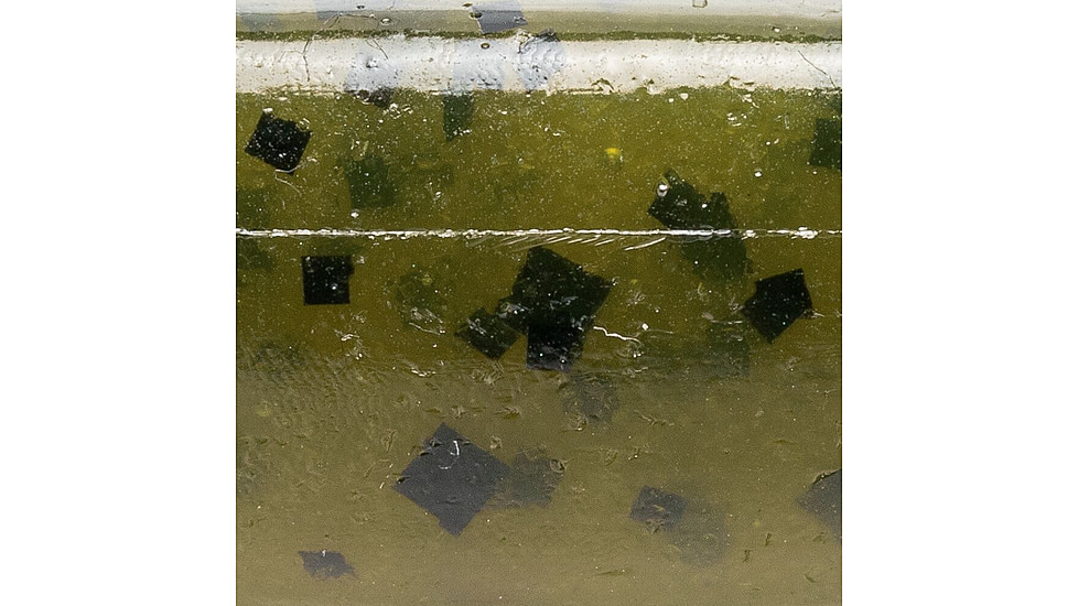 MACH MACH Skooler Swimbait, Green Pumpkin, 4in, MHTW-46