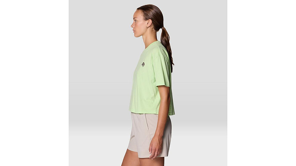 Mountain Hardwear Fossils W Boxy Crop Top - Womens
