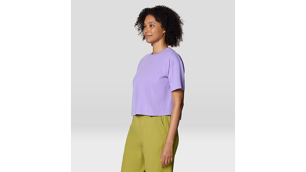 Mountain Hardwear Graphic Boxy Crop SS Top - Womens