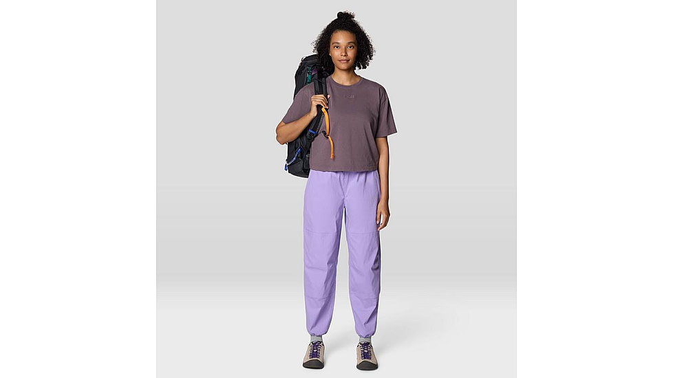 Mountain Hardwear Graphic Boxy Crop SS Top - Womens