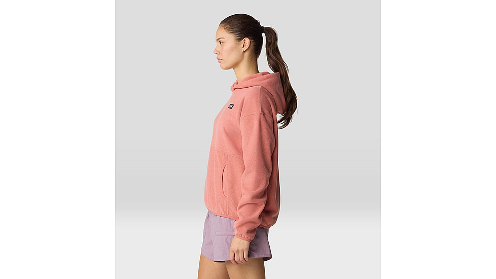 Mountain Hardwear Microchill Hoody - Womens