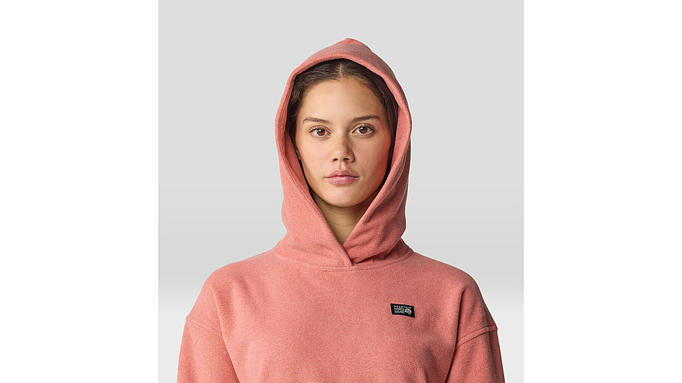 Mountain Hardwear Microchill Hoody - Womens