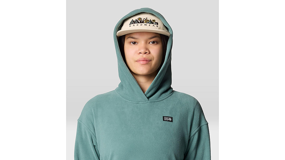 Mountain Hardwear Microchill Hoody - Womens