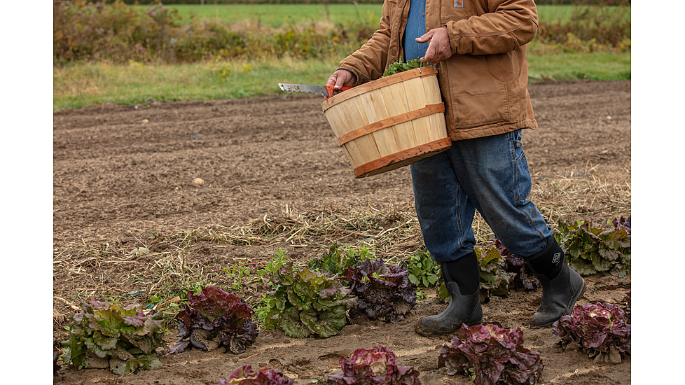 Muck Boots Chore Mid Wateproof Rubber Work Boot - Mens, Black, 5, CHM-000A-BL-050