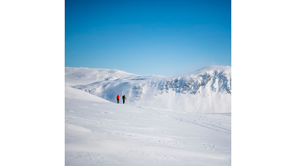 Norrona Falketind Down750 Zip Hood - Mens, Golden Palm, Small, 1833-20-5502-S