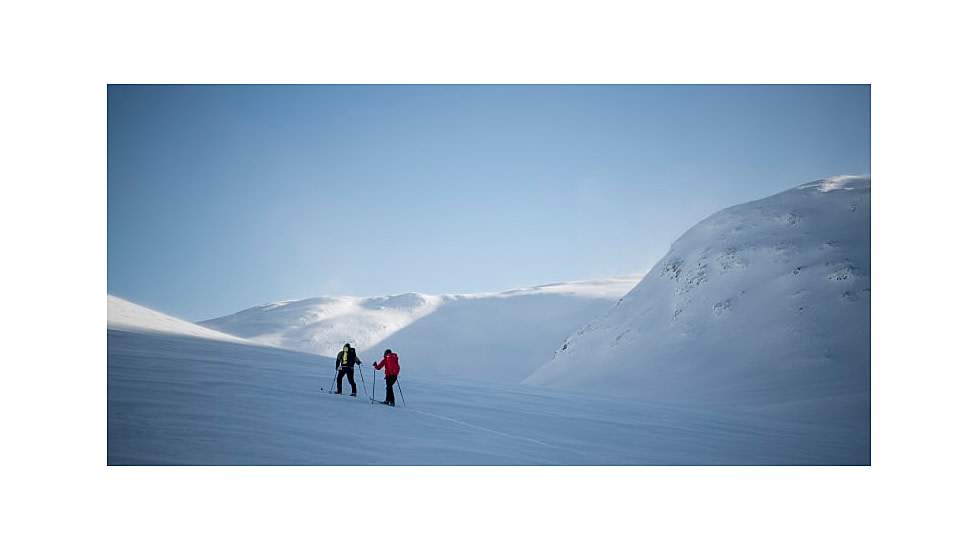 Norrona Falketind Down750 Zip Hood - Mens, Golden Palm, Small, 1833-20-5502-S