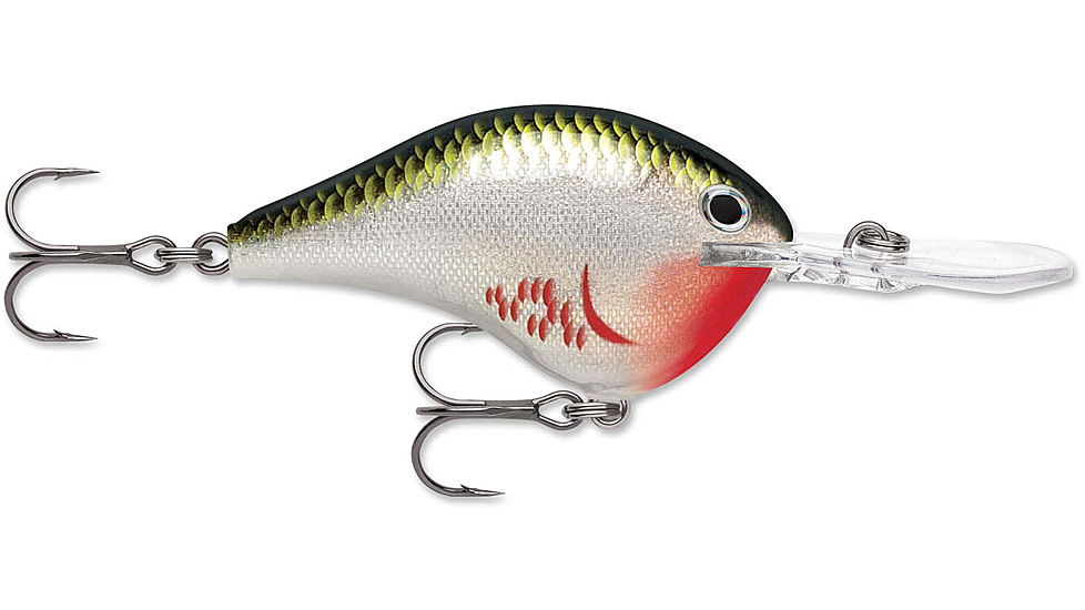 Rapala Dives-To 10 Lure, Bleeding Olive Shiner, DT10BOS