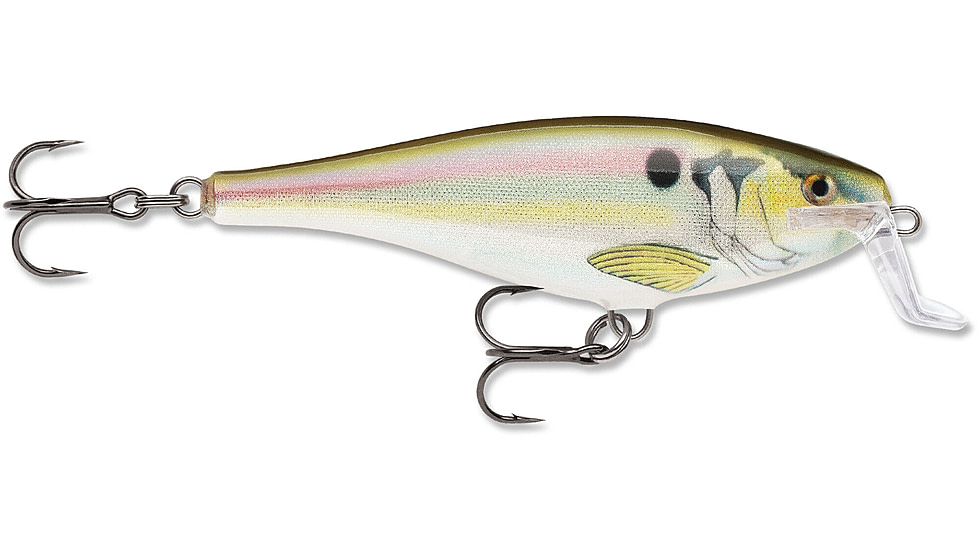 Rapala Super Shad Rap 14 Lure, Live River Shad, SSR14RSL