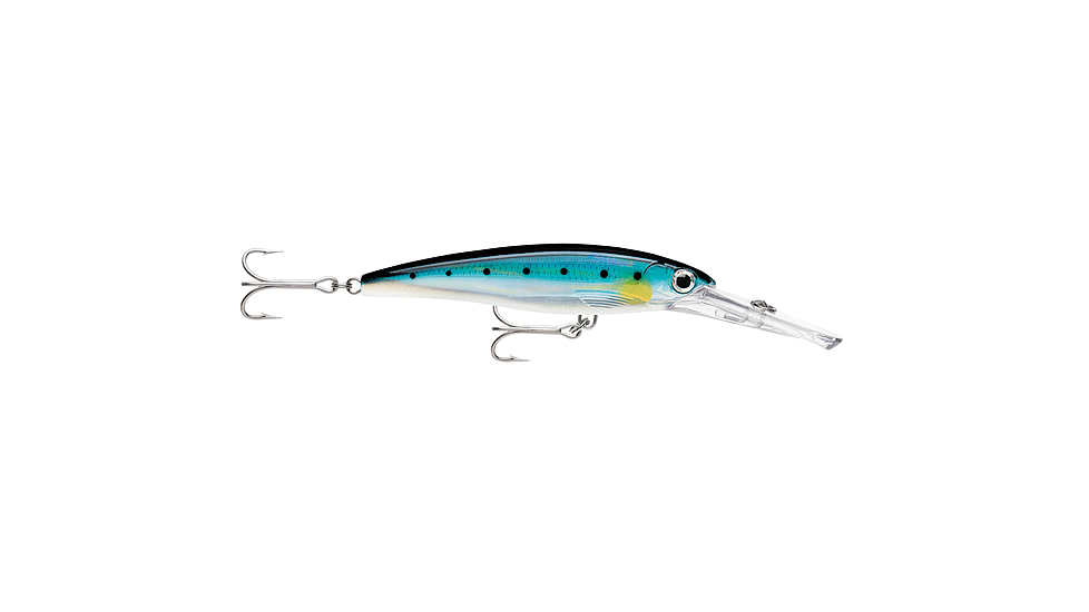 Rapala X-Rap Magnum 20 Sardine, XRMAG20BSRD