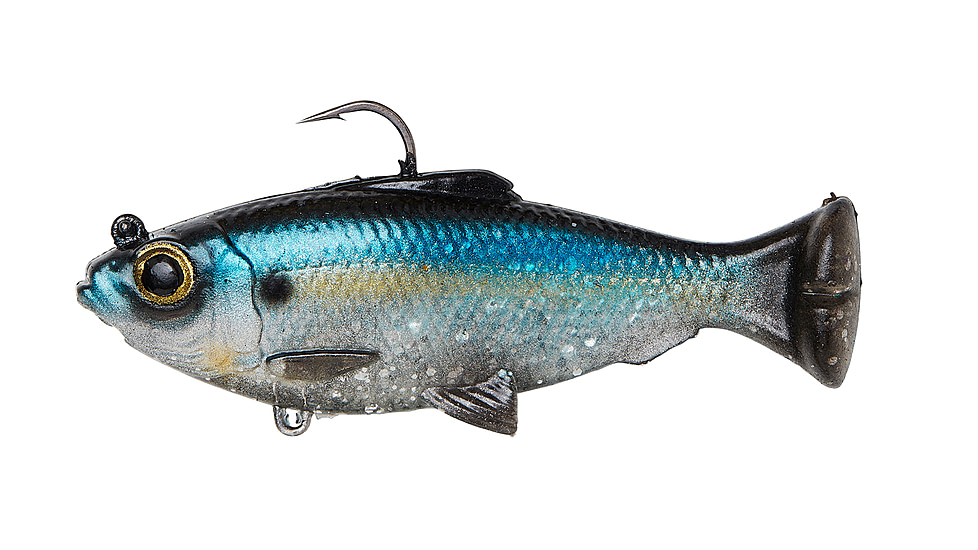 Savage Gear Pulse Tail Baitfish RTF Soft Bait, Pack of 1, 3in, Sexy Shad, 1586287