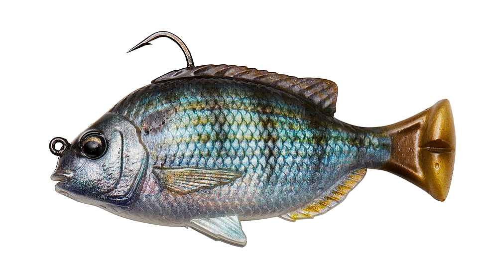 Savage Gear Pulse Tail Pinfish RTF Soft Bait, Pack of 1, 4in, Pinfish, 1585902