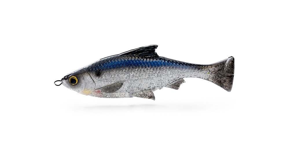 Savage Gear Pulse Tail Shiner Loose Body Soft Bait, Pack of 1, 4in, Shad, 1585593