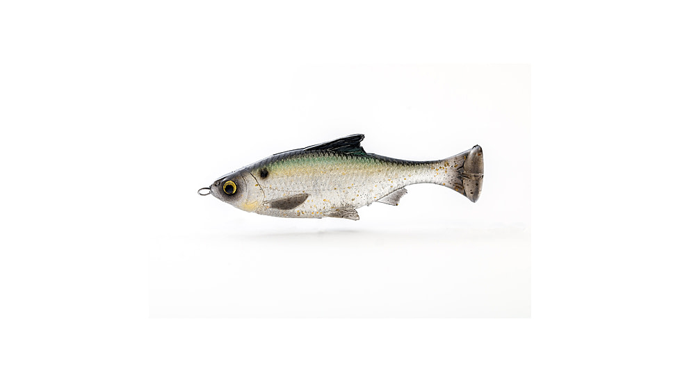Savage Gear Pulse Tail Shiner Loose Body Soft Bait, Pack of 1, 5in, Green Back, 1585604