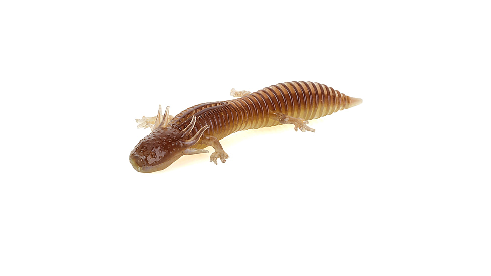 Savage Gear Toughtec NED Salamander Soft Bait