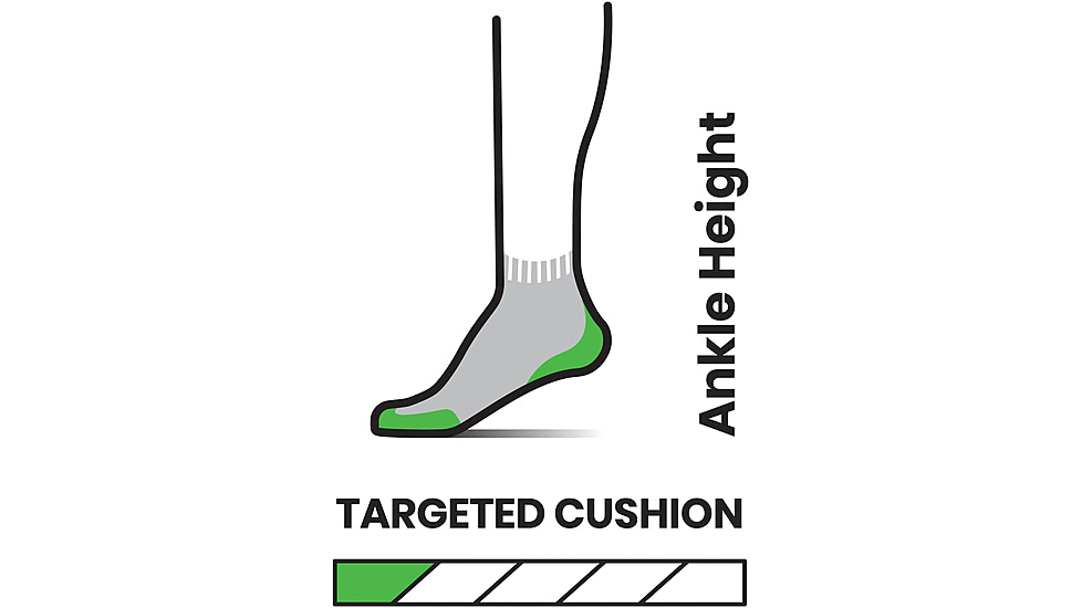 Smartwool Run Targeted Cushion Ankle Socks - Womens, H76 Purple Eclipse, Medium, SW001675H76M