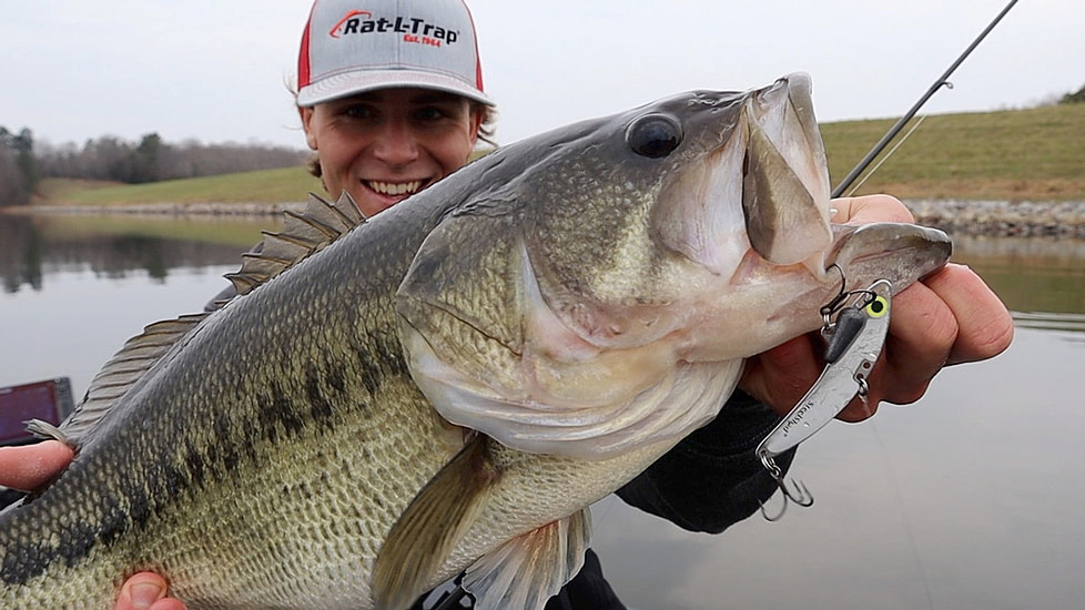 SteelShad 3/8 oz Blade Bait, White Shad, SSL-10062