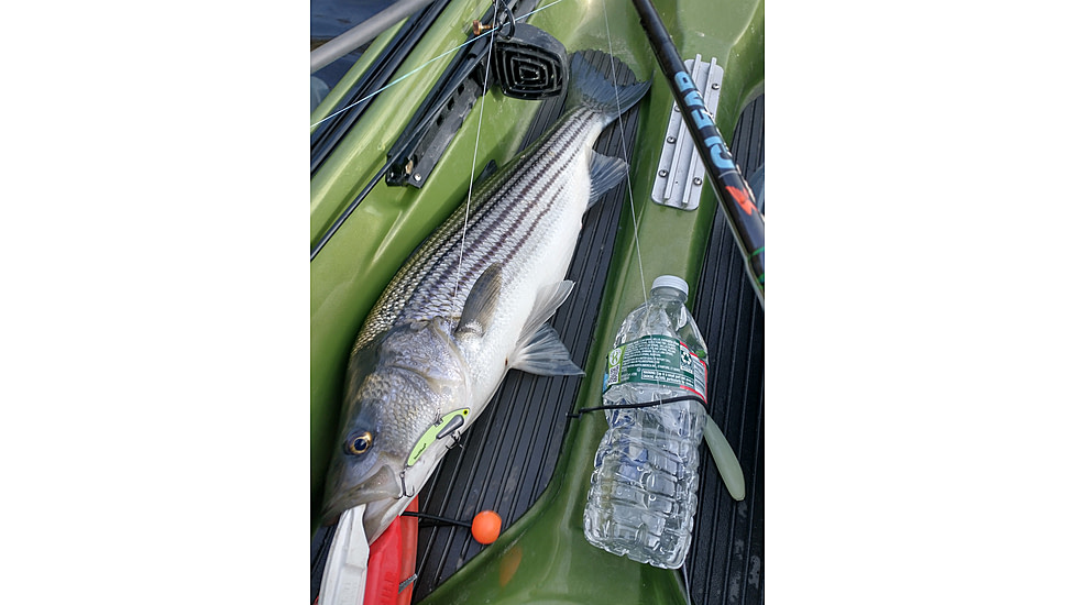 SteelShad Heavy, 1/2 Oz, Glow Yellow, SSL-10216