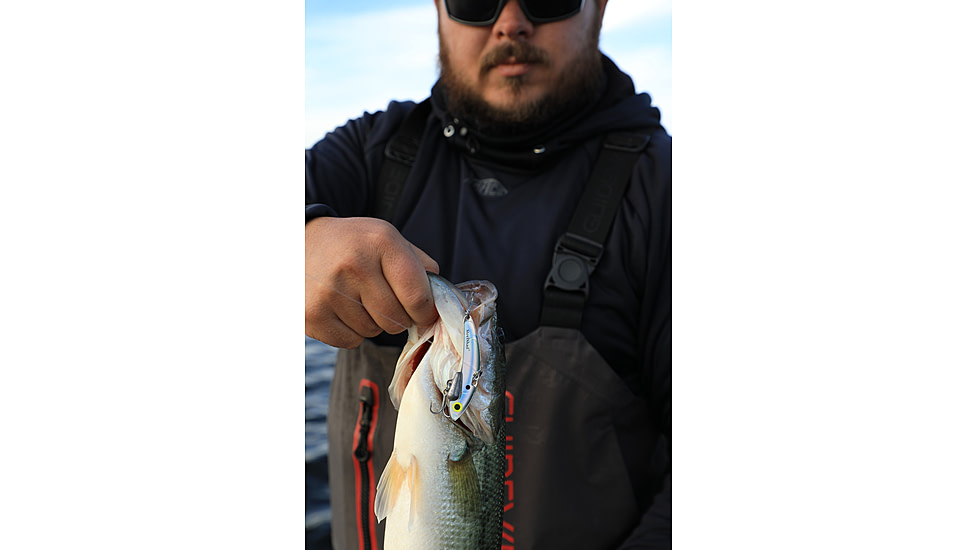 SteelShad Heavy, 1/2 Oz, White Shad, SSL-10125