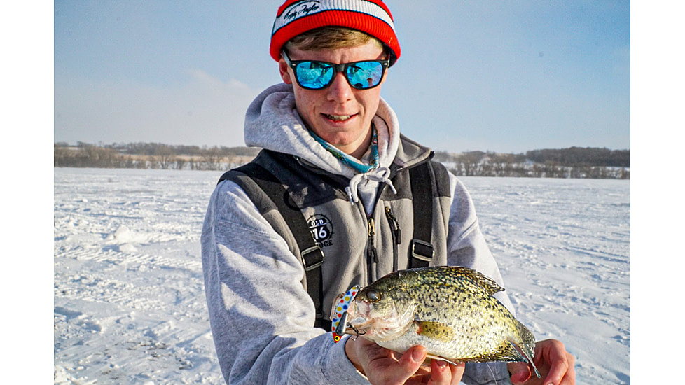 SteelShad Heavy, 1/2 Oz, Wonderbread, SSL-10137