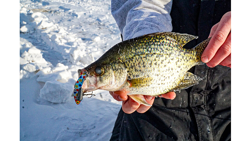 SteelShad Heavy, 1/2 Oz, Wonderbread, SSL-10137