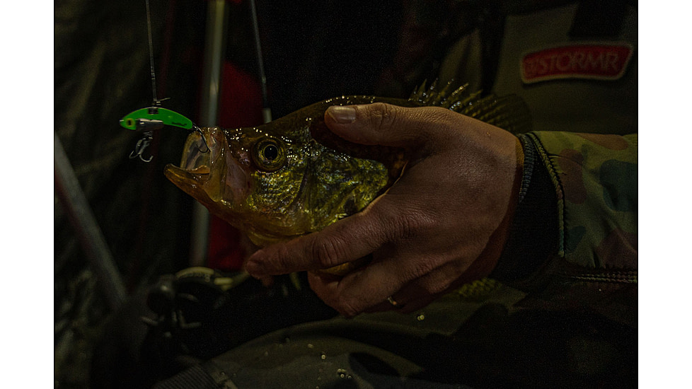 SteelShad Mini, 2 Pack, 1/4 Oz, Glow Green, SSL-10238