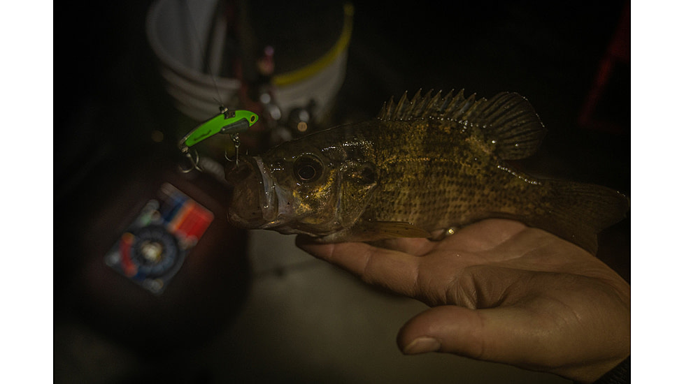 SteelShad Mini, 2 Pack, 1/4 Oz, Glow Green, SSL-10238