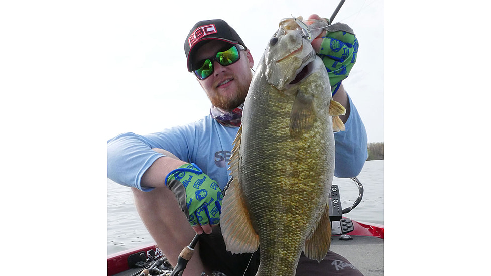 SteelShad Mini, 2 Pack, 1/4 Oz, Sexy Shad, SSL-10077