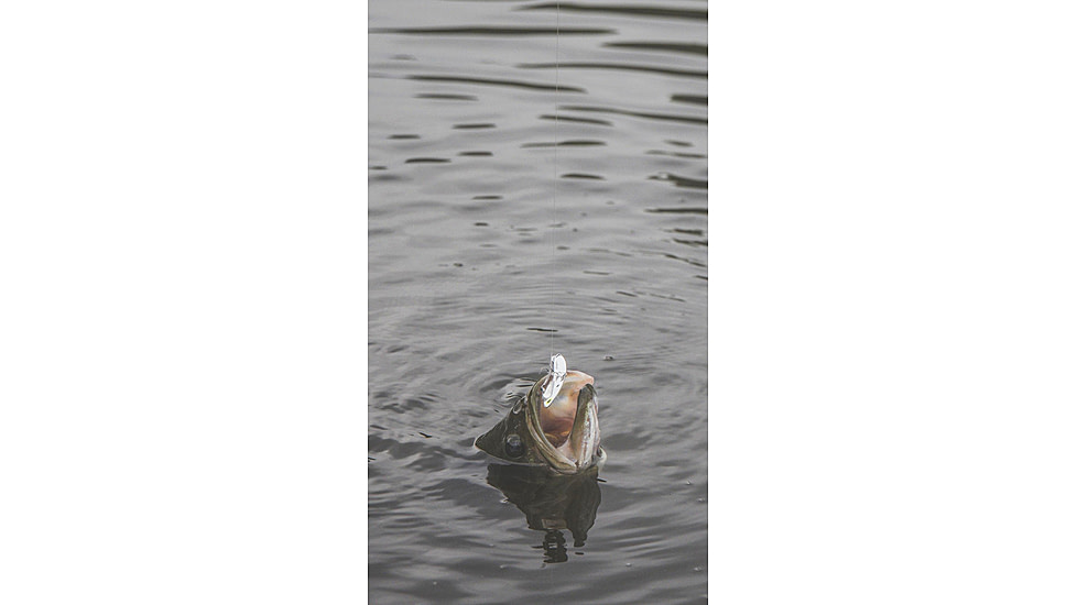 SteelShad Mini, 2 Pack, 1/4 Oz, Silver/Chrome, SSL-10075