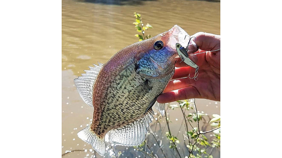 SteelShad Mini, 2 Pack, 1/4 Oz, Silver/Chrome, SSL-10075