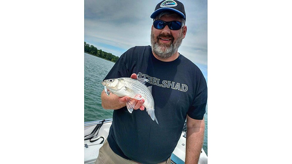 SteelShad Mini, 2 Pack, 1/4 Oz, Silver/Chrome, SSL-10075