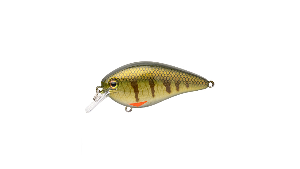 Strike King KVD Elite 2.5 Crankbaits, Pro Phantom Perch, 5/8oz, HCKVD2.5E-339