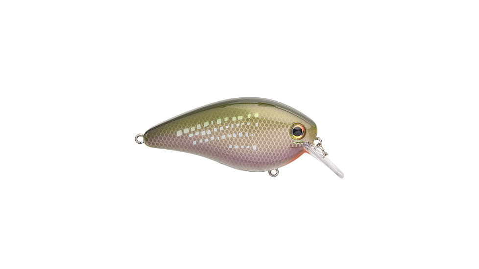 Strike King KVD Elite 2.5 Crankbaits, River Shiner, 5/8oz, HCKVD2.5E-696
